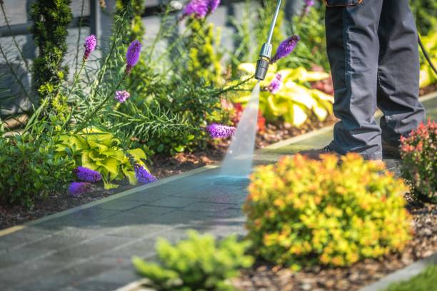 Best Post-Construction Pressure Washing  in Warren, MN